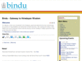 bindu.org