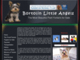 bortolinangels.com