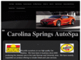 csautospa.com