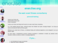 enerjise.org