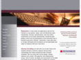 esurveyconsulting.com