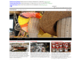 thaispider.net