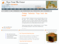 timbertechnica.com