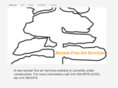 bonsaifineartservices.com