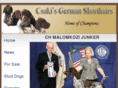csakigermanshorthairedpointer.com
