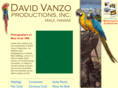 davidvanzoproductions.com