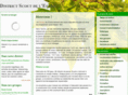 scoutsdelestrie.com