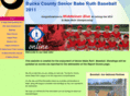 bcsrbaberuth.com