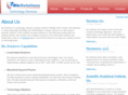 blusolutions.biz