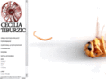 ceciliatiburzio.com