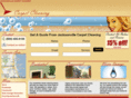jacksonville-carpetcleaning.com