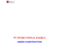 petropapuaenergi.com