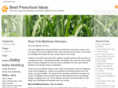bestpreschoolideas.com