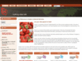 insipio.com