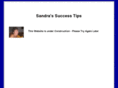 sandras-success-tips.com
