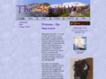 theshamanway.com