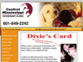 centralmissvet.net
