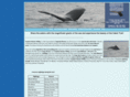ingonishwhalewatching.com