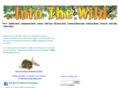into-the-wild.org