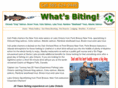 irishpridecharters.com