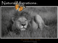 naturalmigrations.com