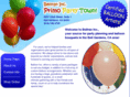 primopartytown.com