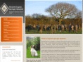 windriftspaniels.com