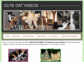 cutecatvideos.net