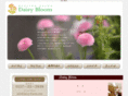 daisy-bloom.com