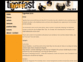 tigerfest.co.uk