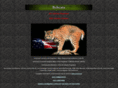 vietnambobcats.com