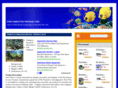 fishtanksfortropicalfish.com