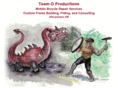 teamopro.com
