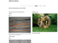 affinitysculpture.com