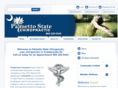 palmettostatechiro.com