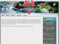 phoenixinformatica.com