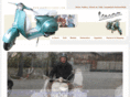 powderscooter.com