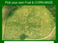 thefrightfarm.com