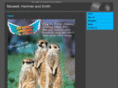 themhsband.com