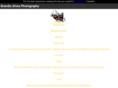 brandisalvesphotography.com
