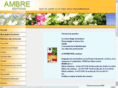 editionsambre.net