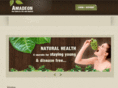 niallobrienweb.com