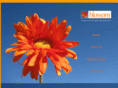blossomdecor.biz