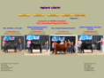 andersonlimousin.com
