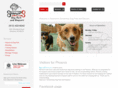 swansondogparkdaycare.com