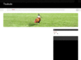 tsubute.com