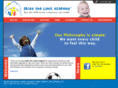 skiesthelimitllc.com
