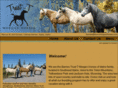 idahomorganhorse.com
