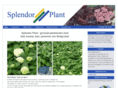 splendorplant.com