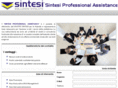 sintesiprofessionalassistance.com